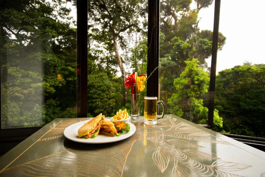 Restaurant view over the cloud forest